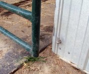gate 1.jpg