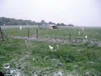 IMG_1119.JPG