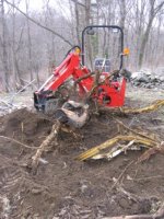 root_002.JPG