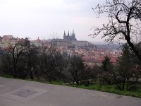 DSCN2932.jpg