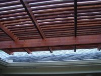 DSC02203 (Medium).JPG