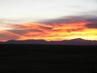 Picture 009.jpg