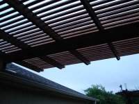 DSC02197 (Medium).JPG