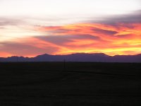Picture 011.jpg