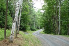 Driveway1.jpg