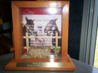 Memorial Shadow Boxes 006.jpg