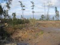 pipeline_growout_11_26_07.jpg