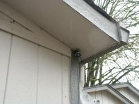 Security8.jpg