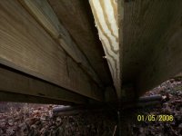 bridge10.JPG