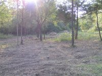 PICT4346.JPG