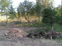 PICT4348.JPG