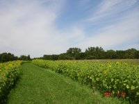 DSC01051.JPG