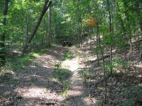 wagonroad1.jpg