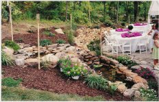Pond from the hill.jpg