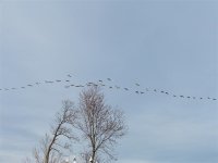 DSCF1824 (Medium).JPG