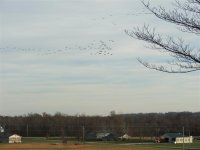 DSCF1829 (Medium).JPG