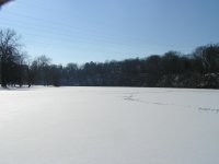 LookingWest.jpg