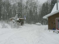 Snow-Nov 29 07 007.jpg