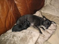 Various Pics 002.jpg
