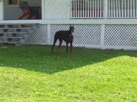 100_1244 (Small).jpg
