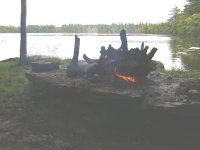 Picnic 1.JPG