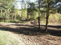 Food Plot 3.jpg