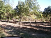 Food Plot 5.jpg
