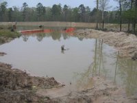 pipeline_growout_03_28_08.jpg