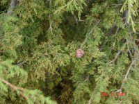 DSC00506.JPG