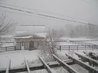SNOW MARCH 28 08.jpg