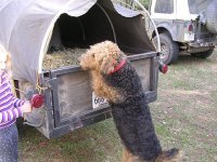 DSCN4230.jpg