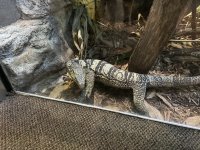 IMG_3483[1].JPG