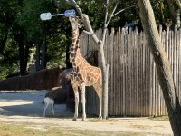 IMG_3491[1].JPG