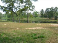Dam 4.JPG
