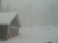 Snow-Nov 30 07 004.jpg