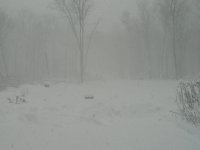 Snow-Nov 30 07 016.jpg
