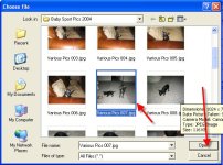 Instructions for posting TBN Pic 3.jpg
