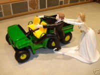 Cake Topper Gator.jpg