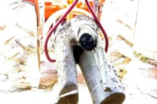 Skidding tongs 004.jpg