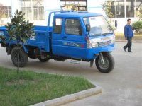 IMG_1456 (Small).JPG