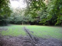 food plot-trench.jpg