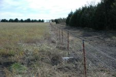 fencemowerafter.jpg
