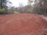 food-plot (13).JPG
