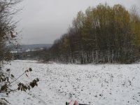 side field.jpg