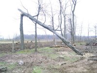 PICT1539.JPG