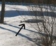 3-30-08 021re.jpg