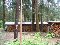 IMG_2629.JPG