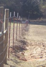 fence 1.jpg