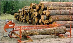 53-128943-logslarge.jpg
