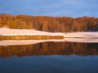 327428-snow nov 02 #2.jpg